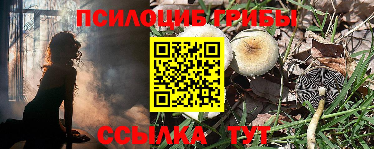 Серов  Галлюциногенные грибы мухоморы  Псилоцибиновые грибы GOLDEN TEACHER  Вход с VPN 
